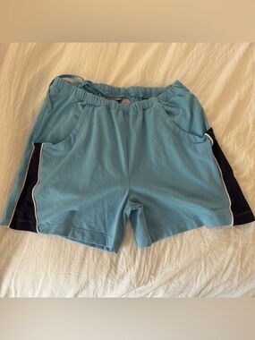 Reebok Light Blue Athletic Shorts with Navy Logo